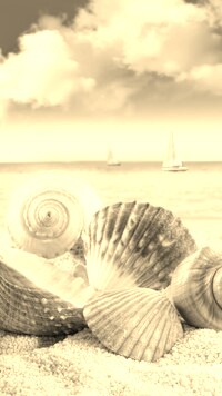 Szary + Sepia