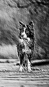 Skamielina