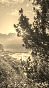 Szary + Sepia