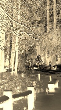 Sepia + Negatyw
