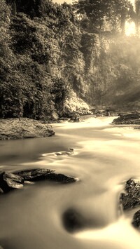 Sepia