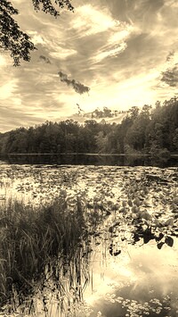 Szary + Sepia