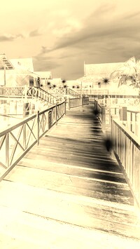 Sepia + Negatyw