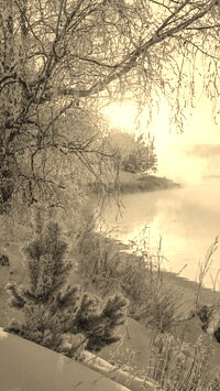 Szary + Sepia