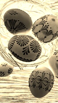 Sepia + Negatyw