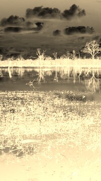 Sepia + Negatyw