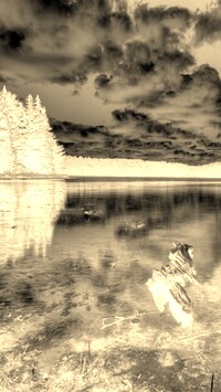Sepia + Negatyw