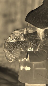 Sepia + Negatyw