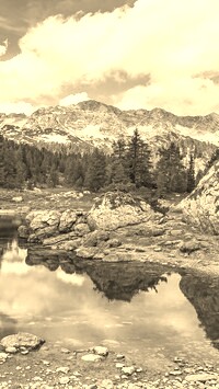 Szary + Sepia