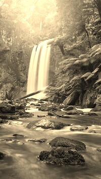 Sepia