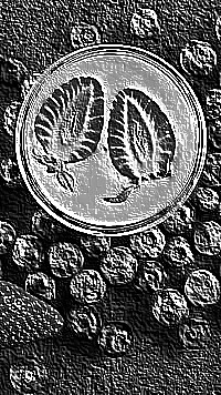 Skamielina