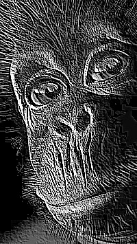 Skamielina