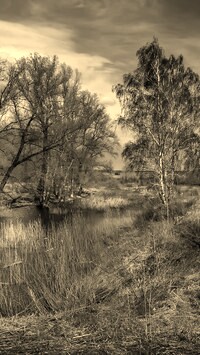 Sepia