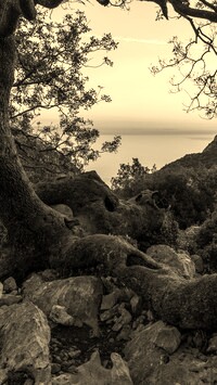 Sepia