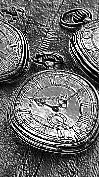 Skamielina