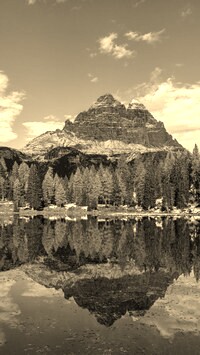 Szary + Sepia