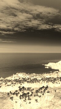 Sepia + Negatyw