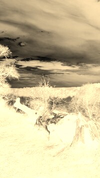 Sepia + Negatyw