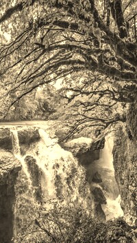 Szary + Sepia