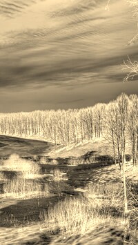 Sepia + Negatyw