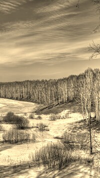 Szary + Sepia