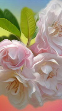 Oryginalny obrazek