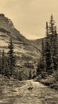Szary + Sepia