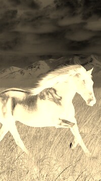 Sepia + Negatyw