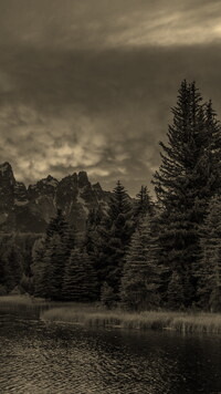 Szary + Sepia
