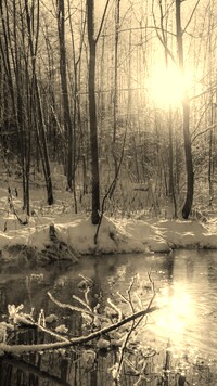 Sepia