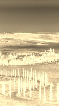 Sepia + Negatyw