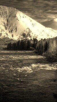 Sepia