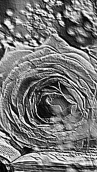 Skamielina