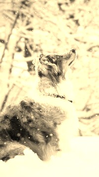 Sepia