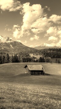 Szary + Sepia