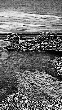 Skamielina