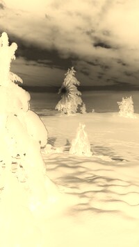 Sepia + Negatyw