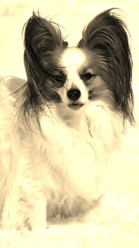 Sepia
