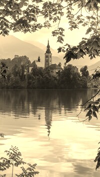 Szary + Sepia