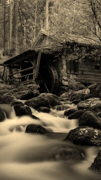 Sepia