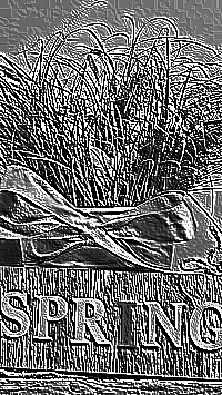 Skamielina
