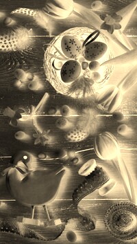 Sepia + Negatyw