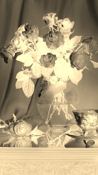 Sepia + Negatyw