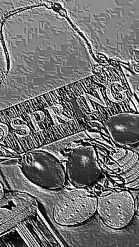 Skamielina