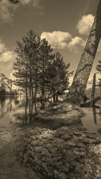 Szary + Sepia