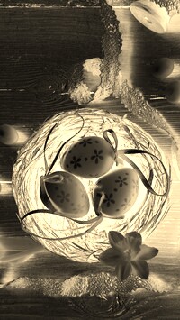 Sepia + Negatyw