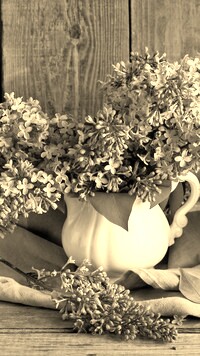 Szary + Sepia