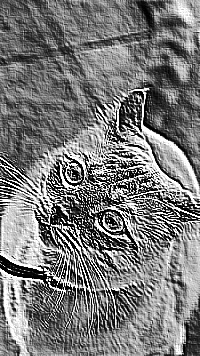 Skamielina