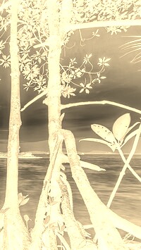 Sepia + Negatyw