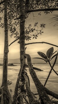 Sepia